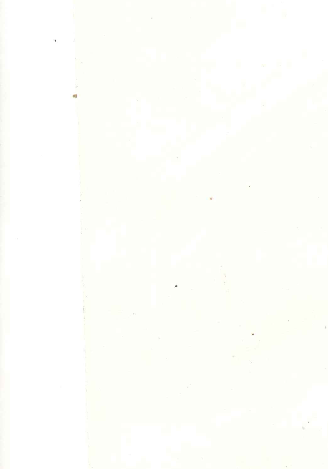 LAM BLANC MAT 0033