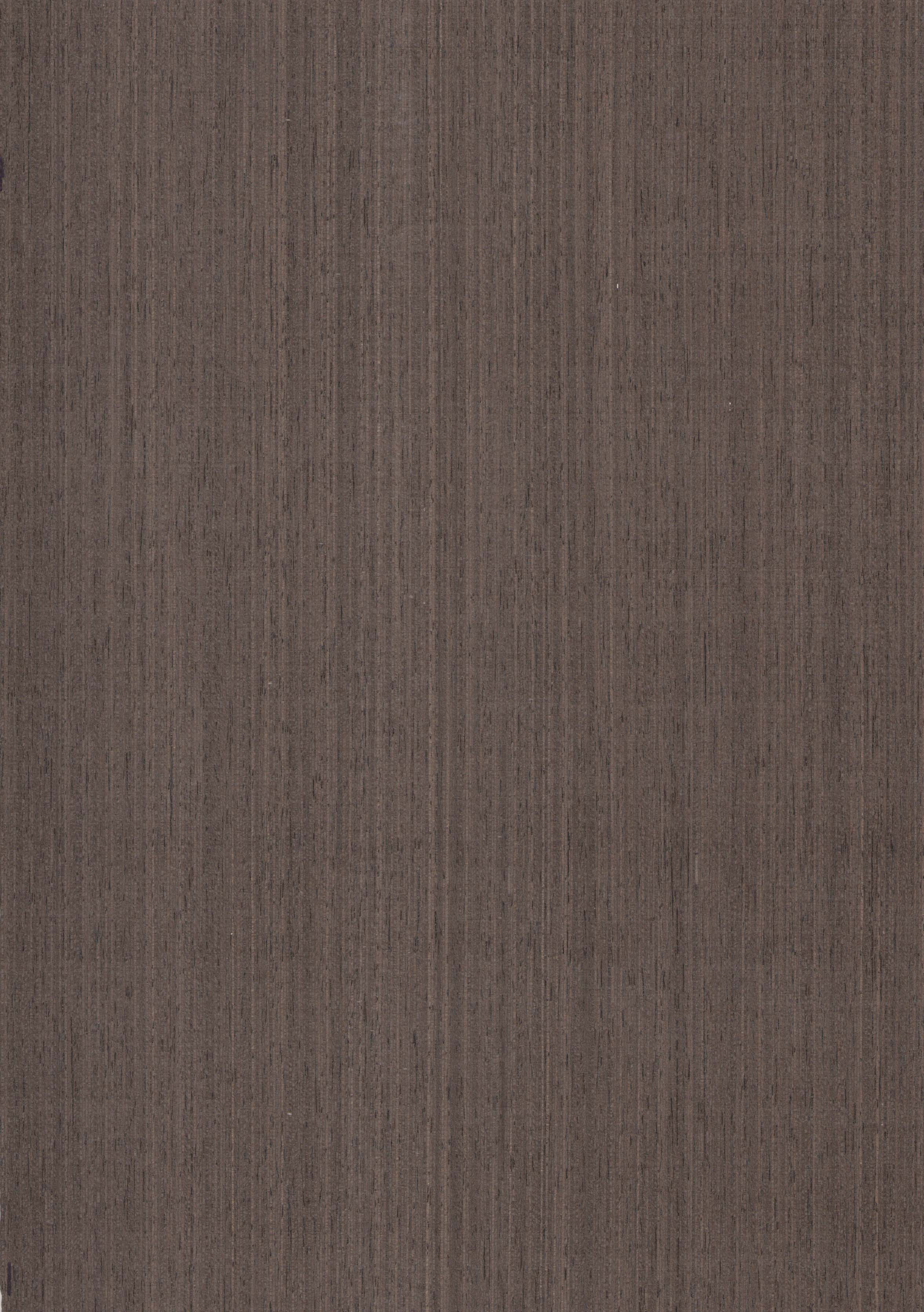 PL WENGUE REC FIL N365 C04