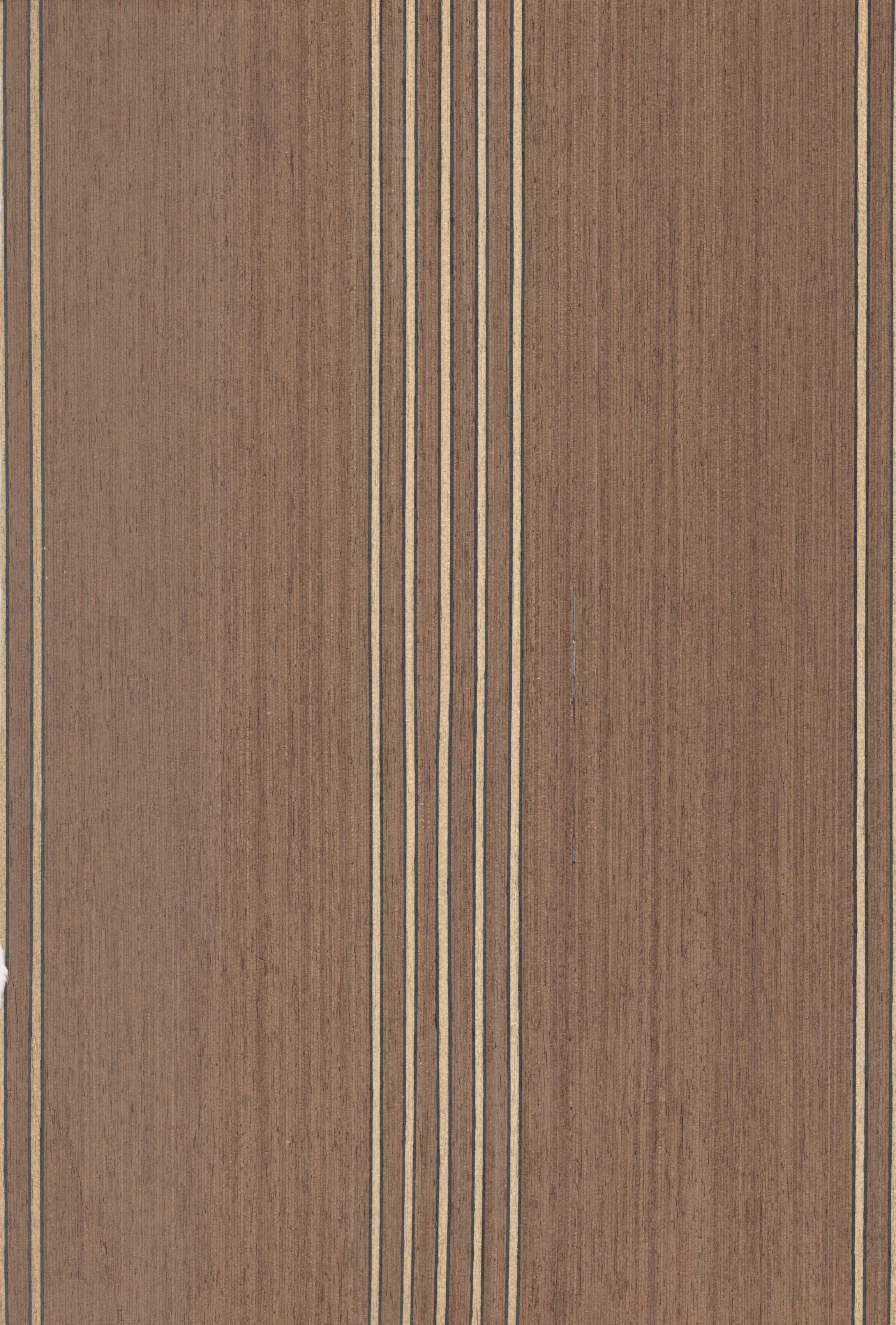 PL RAYURE R N°351